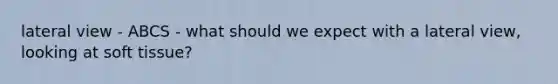 lateral view - ABCS - what should we expect with a lateral view, looking at soft tissue?