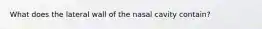 What does the lateral wall of the nasal cavity contain?