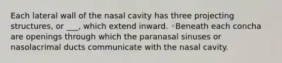 Each lateral wall of the nasal cavity has three projecting structures, or ___, which extend inward. ◦Beneath each concha are openings through which the paranasal sinuses or nasolacrimal ducts communicate with the nasal cavity.