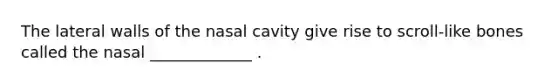 The lateral walls of the nasal cavity give rise to scroll-like bones called the nasal _____________ .