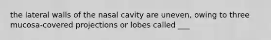 the lateral walls of the nasal cavity are uneven, owing to three mucosa-covered projections or lobes called ___