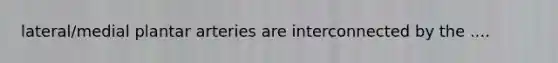 lateral/medial plantar arteries are interconnected by the ....