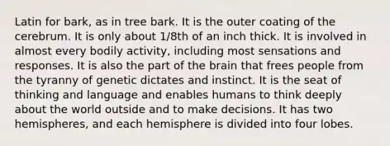 Latin for bark, as in tree bark. It is the outer coating of the cerebrum. It is only about 1/8th of an inch thick. It is involved in almost every bodily activity, including most sensations and responses. It is also the part of the brain that frees people from the tyranny of genetic dictates and instinct. It is the seat of thinking and language and enables humans to think deeply about the world outside and to make decisions. It has two hemispheres, and each hemisphere is divided into four lobes.