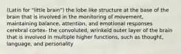 (Latin for "little brain") the lobe like structure at the base of the brain that is involved in the monitoring of movement, maintaining balance, attention, and emotional responses cerebral cortex- the convoluted, wrinkeld outer layer of the brain that is involved in multiple higher functions, such as thought, language, and personality