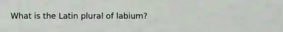 What is the Latin plural of labium?