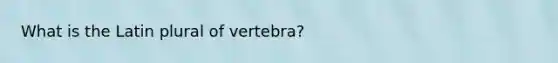 What is the Latin plural of vertebra?