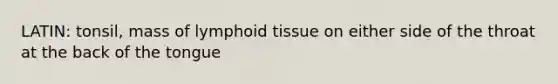 LATIN: tonsil, mass of lymphoid tissue on either side of the throat at the back of the tongue