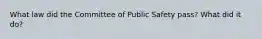 What law did the Committee of Public Safety pass? What did it do?