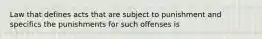 Law that defines acts that are subject to punishment and specifics the punishments for such offenses is