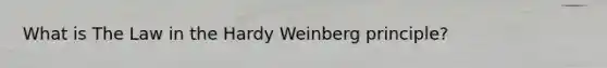 What is The Law in the Hardy Weinberg principle?