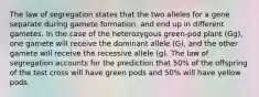 The law of segregation states that the two alleles for a gene separate during gamete formation, and end up in different gametes. In the case of the heterozygous green-pod plant (Gg), one gamete will receive the dominant allele (G), and the other gamete will receive the recessive allele (g). The law of segregation accounts for the prediction that 50% of the offspring of the test cross will have green pods and 50% will have yellow pods.