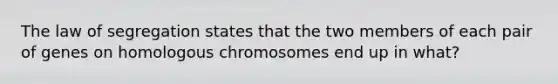 The law of segregation states that the two members of each pair of genes on homologous chromosomes end up in what?