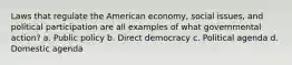 Laws that regulate the American economy, social issues, and political participation are all examples of what governmental action? a. Public policy b. Direct democracy c. Political agenda d. Domestic agenda