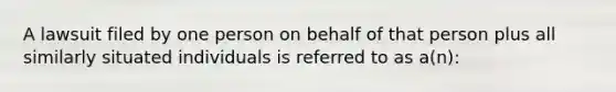 A lawsuit filed by one person on behalf of that person plus all similarly situated individuals is referred to as a(n):