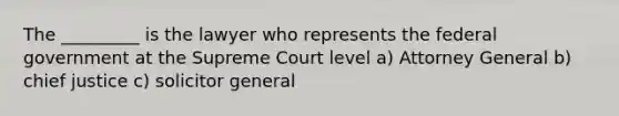 The _________ is the lawyer who represents the federal government at the Supreme Court level a) Attorney General b) chief justice c) solicitor general