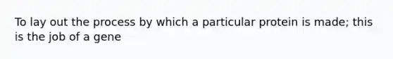 To lay out the process by which a particular protein is made; this is the job of a gene