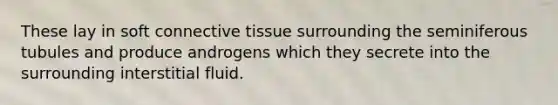 These lay in soft connective tissue surrounding the seminiferous tubules and produce androgens which they secrete into the surrounding interstitial fluid.