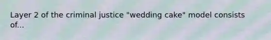 Layer 2 of the criminal justice "wedding cake" model consists of...