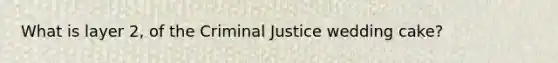 What is layer 2, of the Criminal Justice wedding cake?