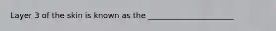 Layer 3 of the skin is known as the ______________________