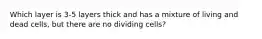 Which layer is 3-5 layers thick and has a mixture of living and dead cells, but there are no dividing cells?