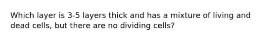 Which layer is 3-5 layers thick and has a mixture of living and dead cells, but there are no dividing cells?