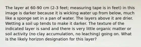 The layer at 60-90 cm (2-3 feet; <a href='https://www.questionai.com/knowledge/ke8onSnMwE-measuring-tape' class='anchor-knowledge'>measuring tape</a> is in feet) in this image is darker because it is wicking water up from below, much like a sponge set in a pan of water. The layers above it are drier. Wetting a soil up tends to make it darker. The texture of the indicated layer is sand and there is very little organic matter or soil activity (no clay accumulation, no leaching) going on. What is the likely horizon designation for this layer?