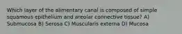 Which layer of the alimentary canal is composed of simple squamous epithelium and areolar connective tissue? A) Submucosa B) Serosa C) Muscularis externa D) Mucosa