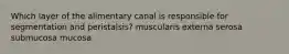 Which layer of the alimentary canal is responsible for segmentation and peristalsis? muscularis externa serosa submucosa mucosa