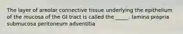 The layer of areolar connective tissue underlying the epithelium of the mucosa of the GI tract is called the _____. lamina propria submucosa peritoneum adventitia