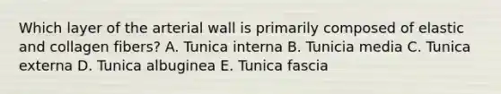 Which layer of the arterial wall is primarily composed of elastic and collagen fibers? A. Tunica interna B. Tunicia media C. Tunica externa D. Tunica albuginea E. Tunica fascia