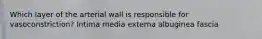 Which layer of the arterial wall is responsible for vasoconstriction? Intima media externa albuginea fascia