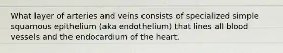 What layer of arteries and veins consists of specialized simple squamous epithelium (aka endothelium) that lines all blood vessels and the endocardium of the heart.