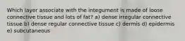 Which layer associate with the integument is made of loose connective tissue and lots of fat? a) dense irregular connective tissue b) dense regular connective tissue c) dermis d) epidermis e) subcutaneous