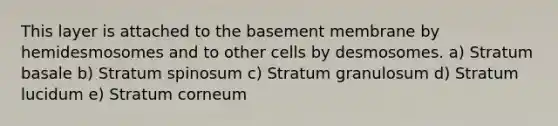 This layer is attached to the basement membrane by hemidesmosomes and to other cells by desmosomes. a) Stratum basale b) Stratum spinosum c) Stratum granulosum d) Stratum lucidum e) Stratum corneum