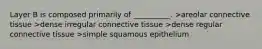 Layer B is composed primarily of __________. >areolar connective tissue >dense irregular connective tissue >dense regular connective tissue >simple squamous epithelium