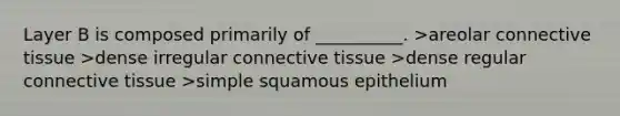 Layer B is composed primarily of __________. >areolar connective tissue >dense irregular connective tissue >dense regular connective tissue >simple squamous epithelium