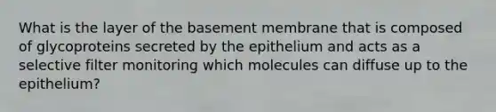 What is the layer of the basement membrane that is composed of glycoproteins secreted by the epithelium and acts as a selective filter monitoring which molecules can diffuse up to the epithelium?