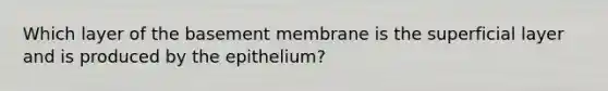 Which layer of the basement membrane is the superficial layer and is produced by the epithelium?