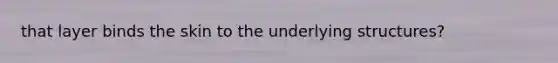 that layer binds the skin to the underlying structures?
