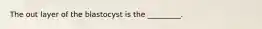 The out layer of the blastocyst is the _________.