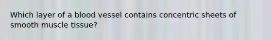 Which layer of a blood vessel contains concentric sheets of smooth muscle tissue?