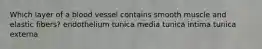 Which layer of a blood vessel contains smooth muscle and elastic fibers? endothelium tunica media tunica intima tunica externa