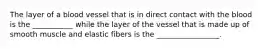 The layer of a blood vessel that is in direct contact with the blood is the ___________ while the layer of the vessel that is made up of smooth muscle and elastic fibers is the _________________.