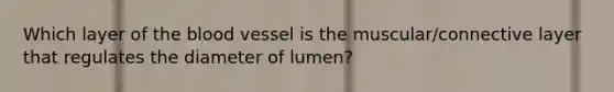 Which layer of the blood vessel is the muscular/connective layer that regulates the diameter of lumen?