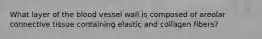 What layer of the blood vessel wall is composed of areolar connective tissue containing elastic and collagen fibers?