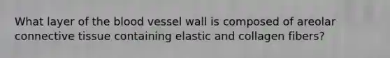 What layer of the blood vessel wall is composed of areolar connective tissue containing elastic and collagen fibers?