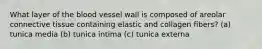 What layer of the blood vessel wall is composed of areolar connective tissue containing elastic and collagen fibers? (a) tunica media (b) tunica intima (c) tunica externa