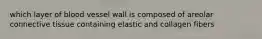 which layer of blood vessel wall is composed of areolar connective tissue containing elastic and collagen fibers