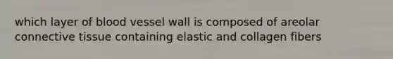 which layer of blood vessel wall is composed of areolar connective tissue containing elastic and collagen fibers